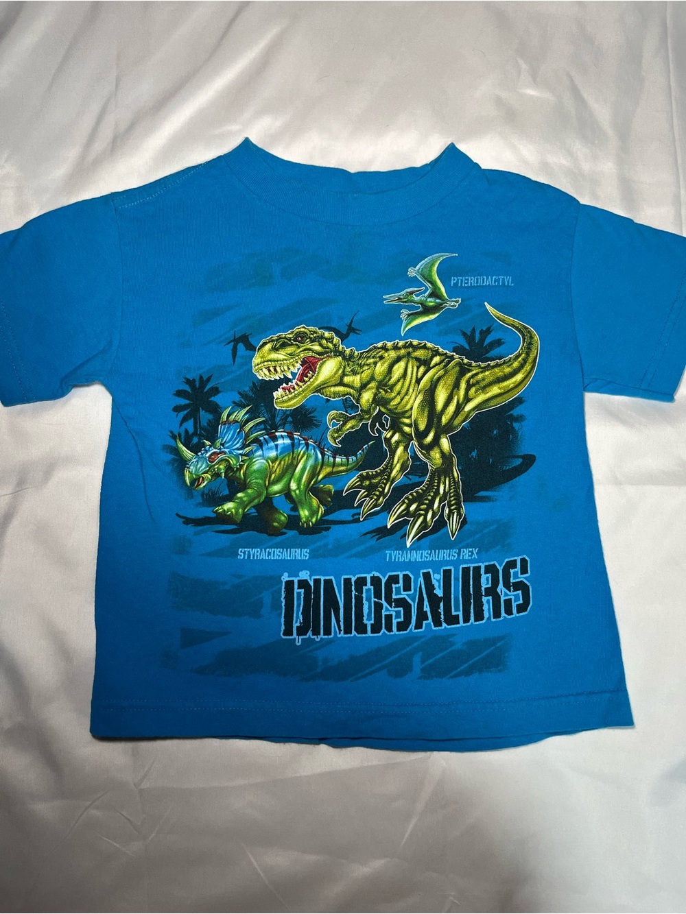 Top Heavy 2010 Boys M 5/6 Blue Dinosaur T-Rex Graphic T-Shirt Y2K Short Sleeve